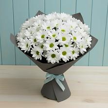 Букет цветов из:  Хризантемы в Гаевской
